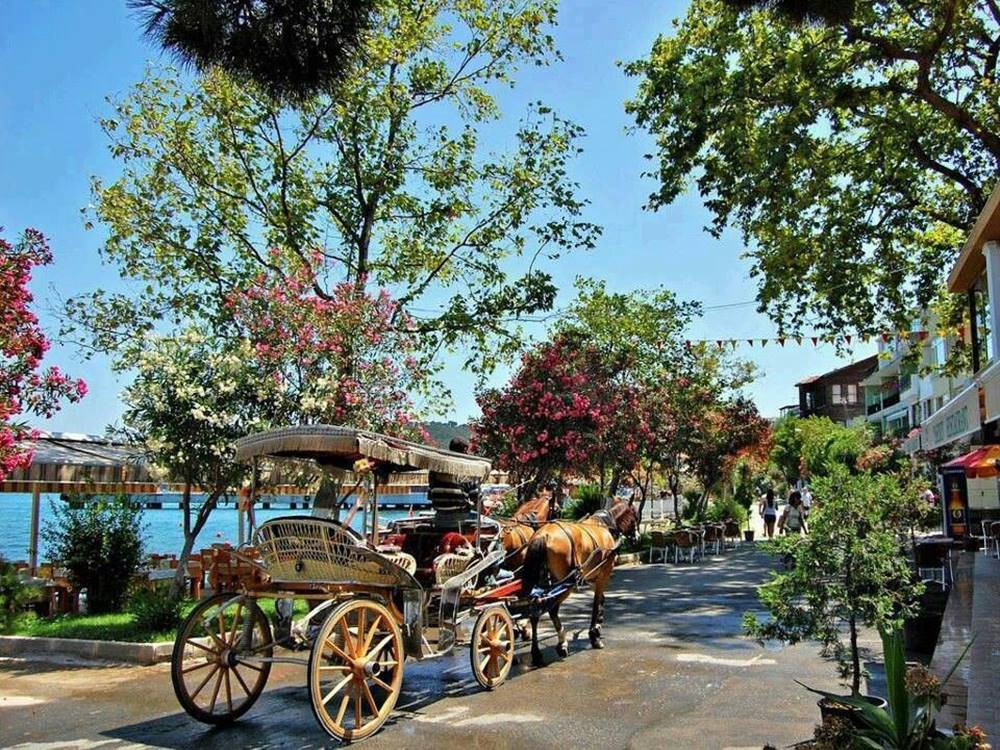 Prince's Island Tour Istanbul